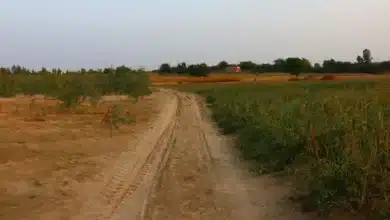 compradores de terrenos en ocozocoautla exigen escrituras tras 10 años de espera