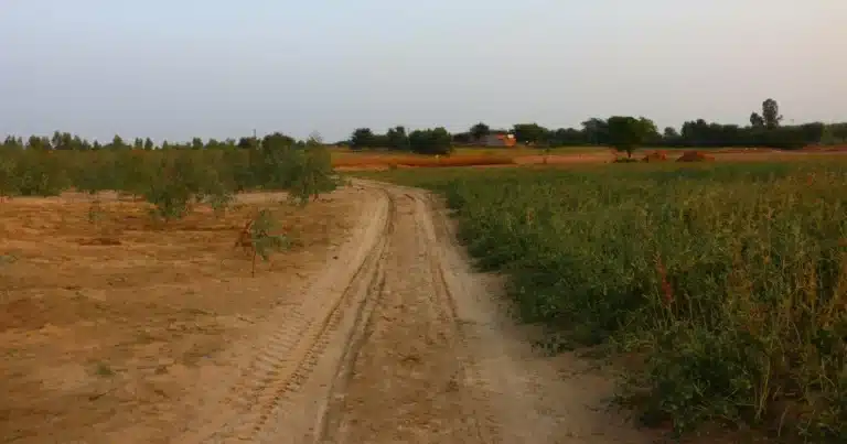 compradores de terrenos en ocozocoautla exigen escrituras tras 10 años de espera