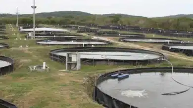 conapesca abre registro para apoyo del 50% en energía eléctrica a acuicultores