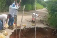 fuertes lluvias provocan caída de árboles y deslaves en chiapas