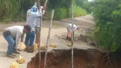 fuertes lluvias provocan caída de árboles y deslaves en chiapas