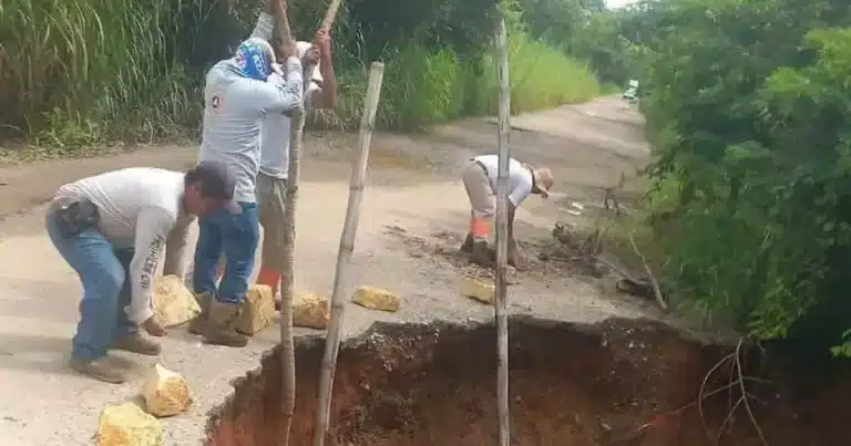 fuertes lluvias provocan caída de árboles y deslaves en chiapas