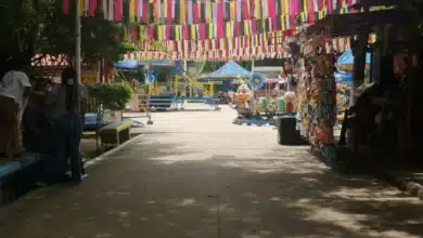 Habrá Calabacita tía en el parque de la convivencia este 31 de octubre