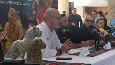 la tradicional feria chiapas y el festival el meque se fusionarán