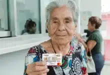 llega registro a los apoyos del bienestar
