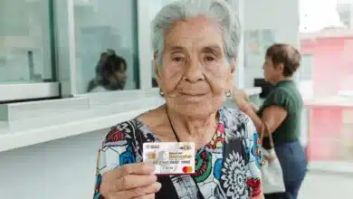 llega registro a los apoyos del bienestar