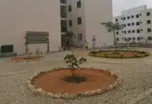 más de 8 mil folios participan en sorteo de viviendas para el bienestar en tuxtla