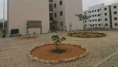 más de 8 mil folios participan en sorteo de viviendas para el bienestar en tuxtla