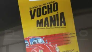 museo de la niñez prepara un fin de semana lleno de vochos, cine y diversión familiar