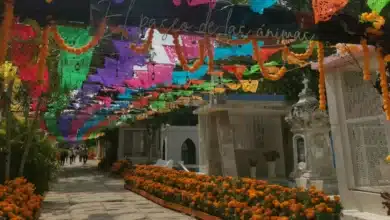 panteones de chiapas listos para recibir a miles de visitantes