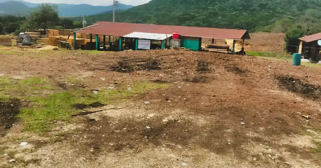 profepa cierra aserradero en comitán investigan origen de más de 13 m³ de madera (1)