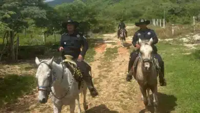 refuerzan vigilancia con patrullajes a caballo en colonias de tuxtla