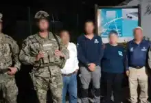 resguardan 87 nidos de tortuga marina en puerto arista