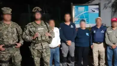 resguardan 87 nidos de tortuga marina en puerto arista