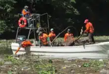 retiran más de 2 mil 393 toneladas de residuos del cañón del sumidero