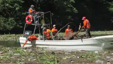 retiran más de 2 mil 393 toneladas de residuos del cañón del sumidero