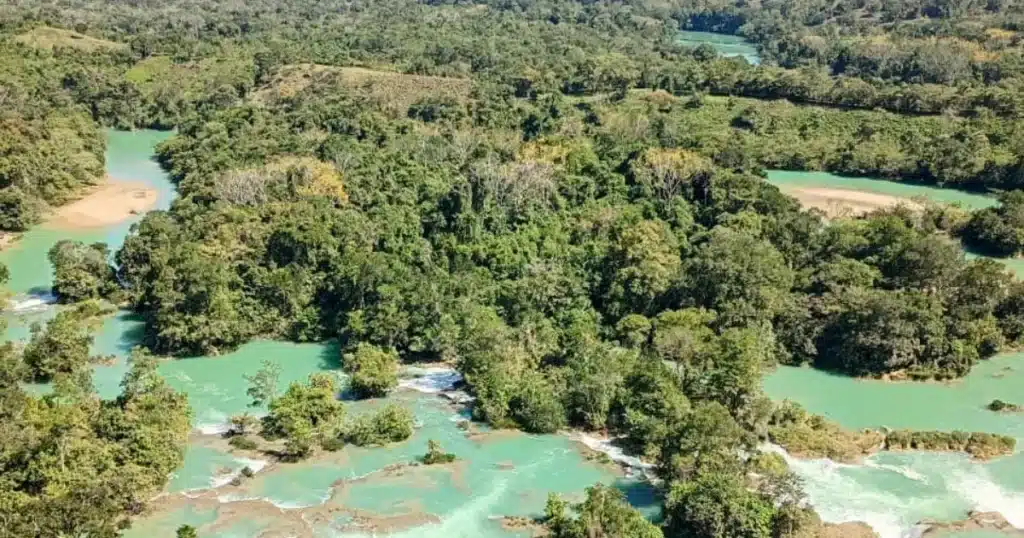 selva lacandona suma nueva área protegida (1)