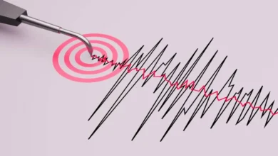 sismo en chiapas de magnitud 3.5 sacude las cercanías de pijijiapan