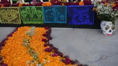 camino de cempasúchil en día de muertos qué significa