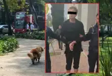 Detienen a presunto envenenador de perros en Condesa, CDMX (Fotos de Daniel Escobar y redes sociales)