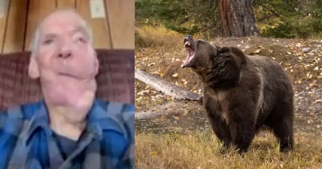 Hombre sobrevive a ataque de oso pardo