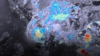 tormenta trudy trae fuertes lluvias y oleaje a jalisco